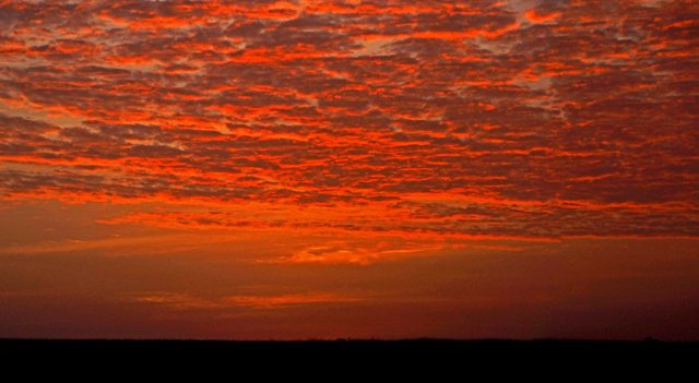 Day 12-006.jpg
