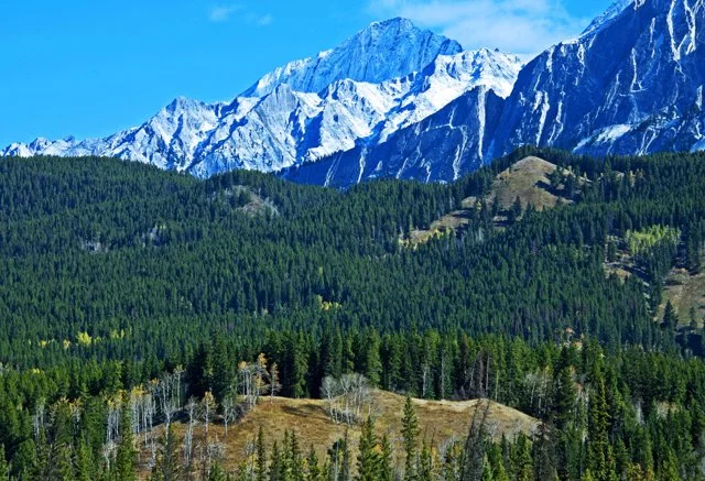 2012 Icefield Pkwy-020