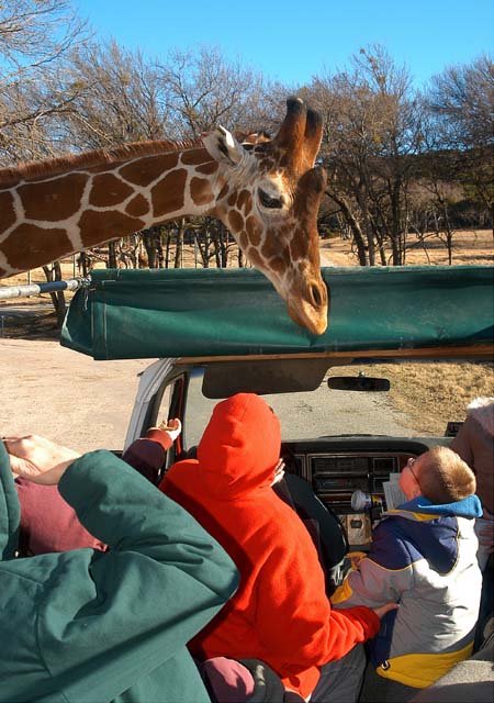 2003 Fossil Rim-053.jpg