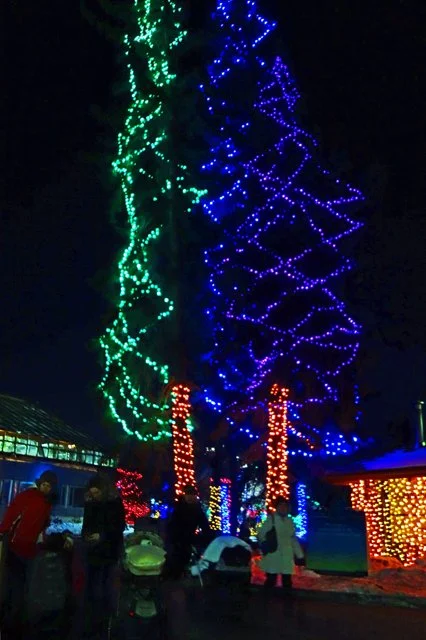 Zoolights-085.jpg
