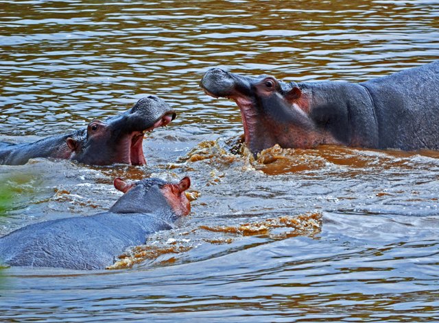 Day 09-077 (L).jpg