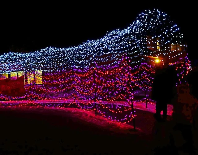 Zoolights-142.jpg