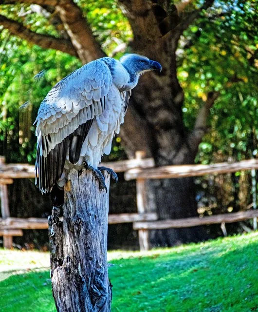 2024 FW Zoo-130