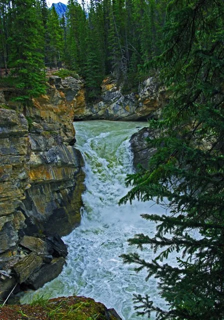 Sunwapta-109.jpg
