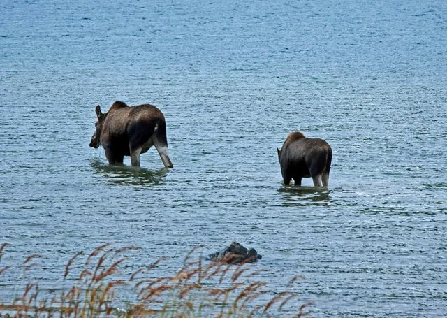 2011 Schaffer Trail-030