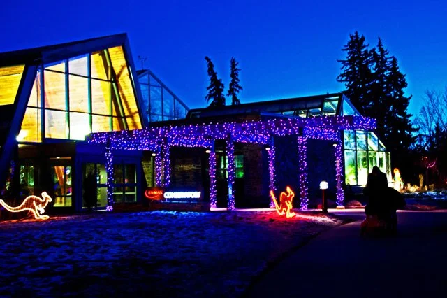 Zoolights-138.jpg
