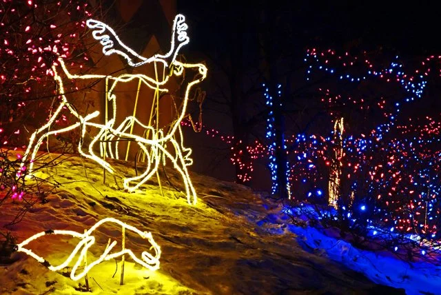 2013 Calgary Zoolights-050