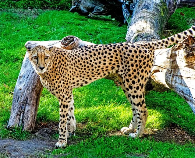 FW Zoo-077.jpg