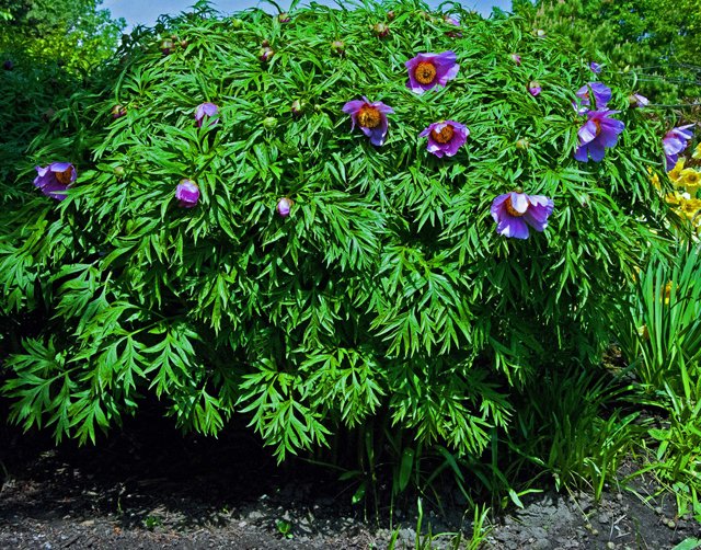 2012 Calgary Spring-160