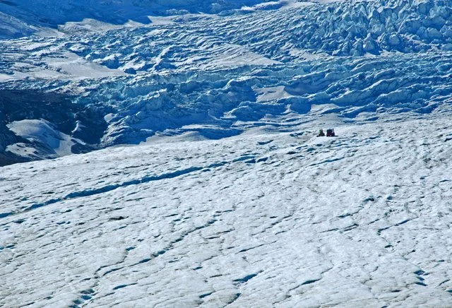 Icefield-172.jpg