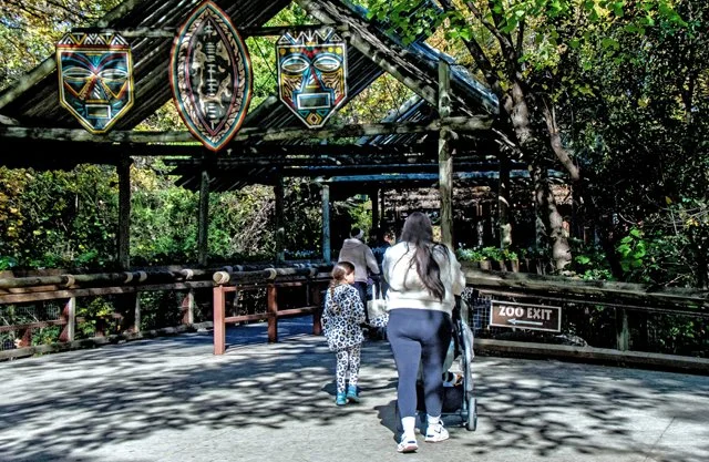 FW Zoo-158.jpg
