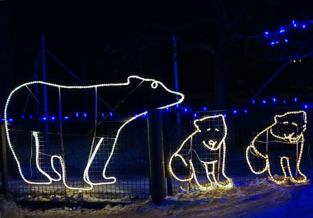 2013 Calgary Zoolights-120