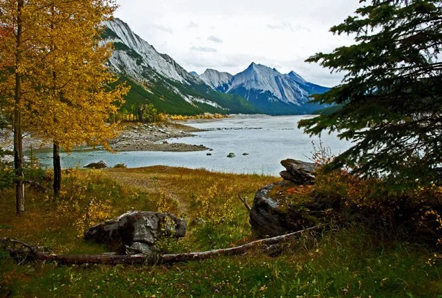 2011 Medicine Lk-070