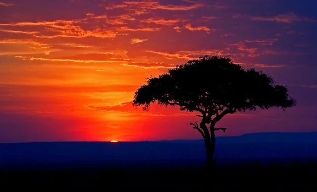2019 Landscapes-050