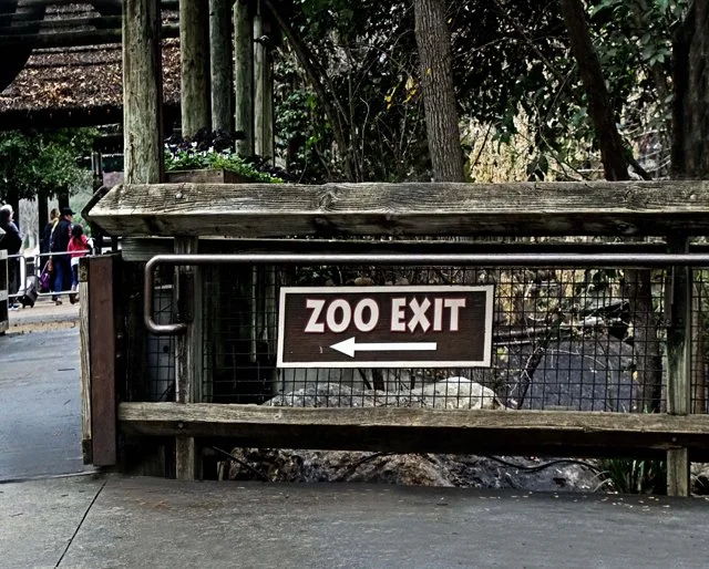 FWZoo-404.jpg