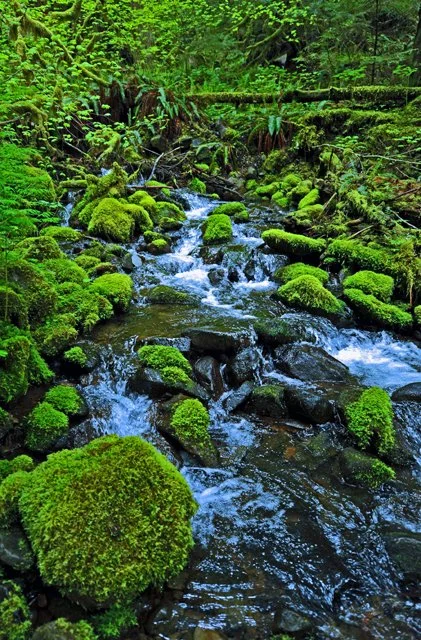 Sol Duc-092.jpg