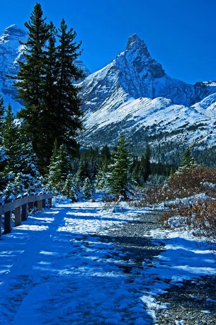 2012 Icefield Pkwy-140