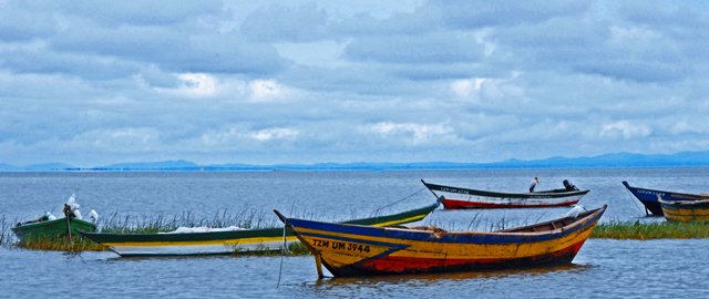 Day 10-134.jpg