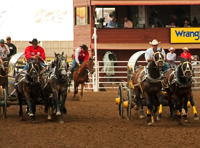 WagonRace-052.jpg