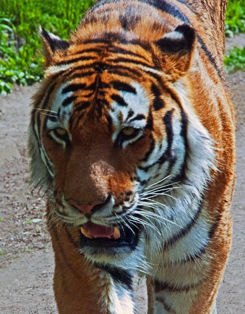 2012 Calgary Spring-030