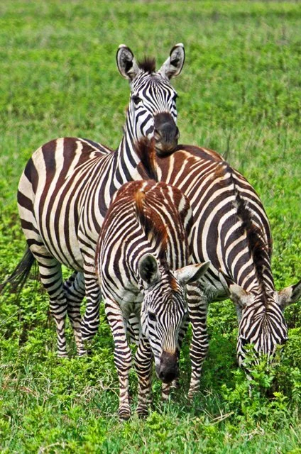 Day 06-142 (B).jpg