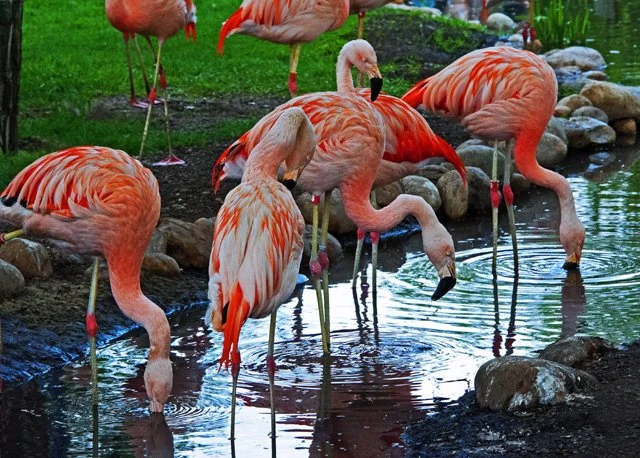 2012 Calgary Spring-220