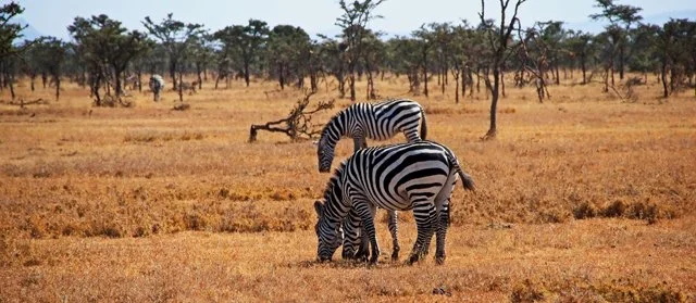 Day 07-075.jpg
