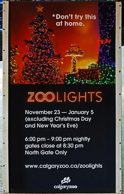 2013 Calgary Zoolights-001