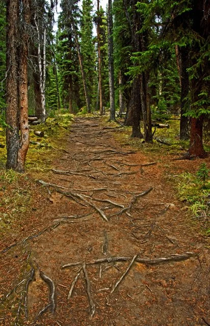 2011 Schaffer Trail-100