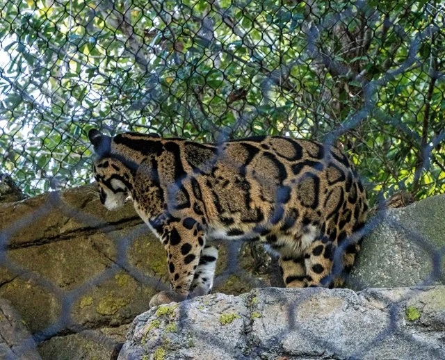 FW Zoo-042.jpg