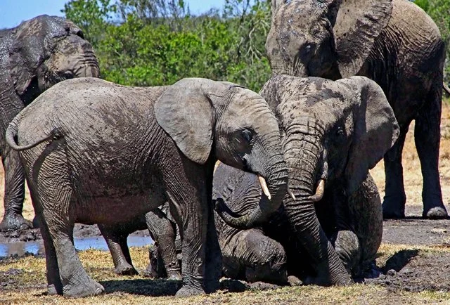 Day 07-112.jpg