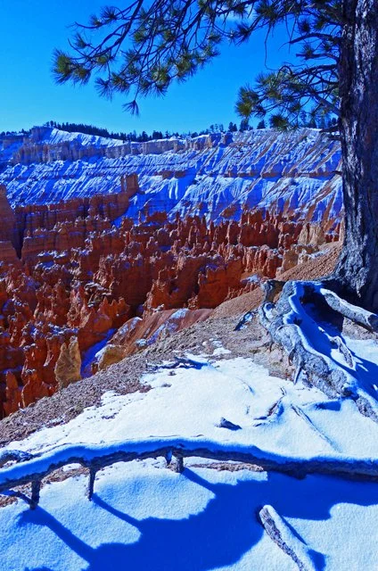 Bryce Canyon-060