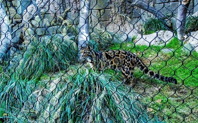 FW Zoo-044.jpg