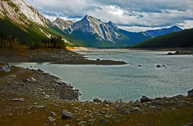 2011 Medicine Lk-050