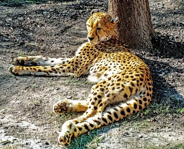 2024 FW Zoo-080