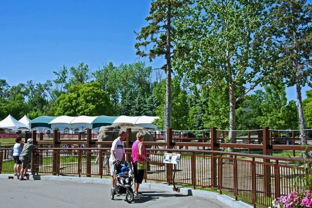 2011 Calgary Zoo-060
