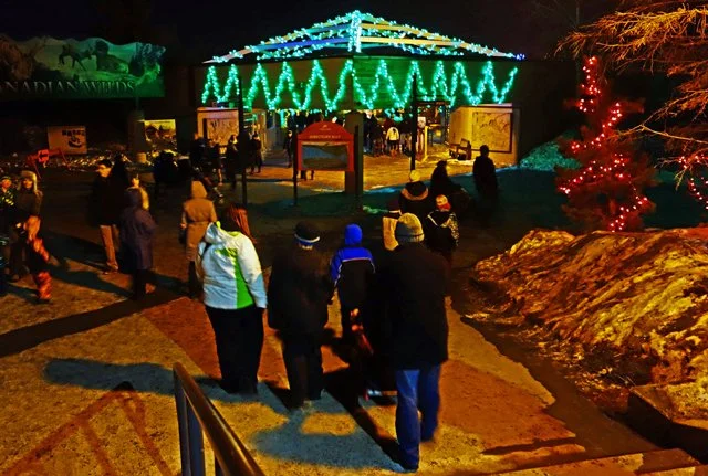 2013 Calgary Zoolights-030