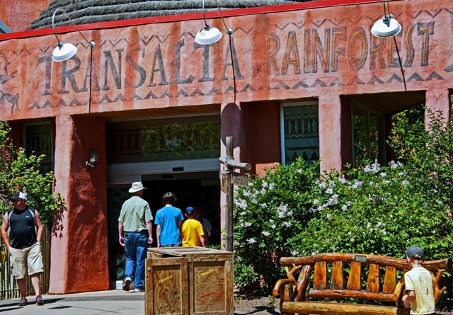 2011 Calgary Zoo-230