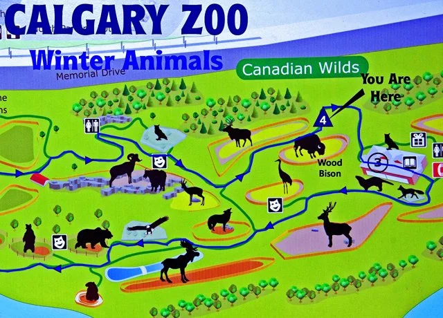 2012 Calgary Winter-120