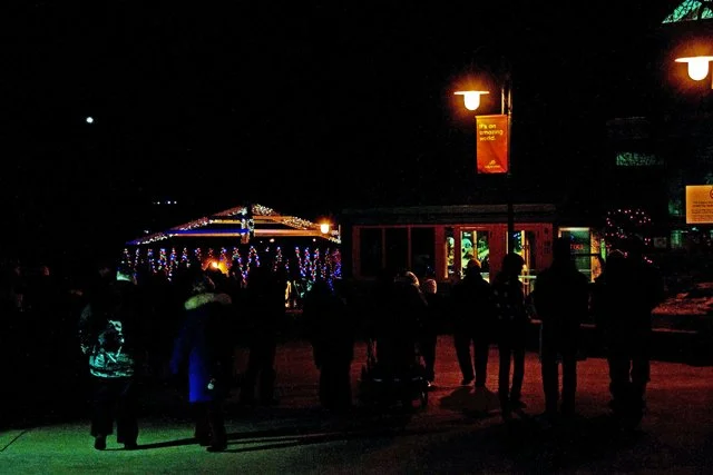 2012 Calgary Zoolights-020