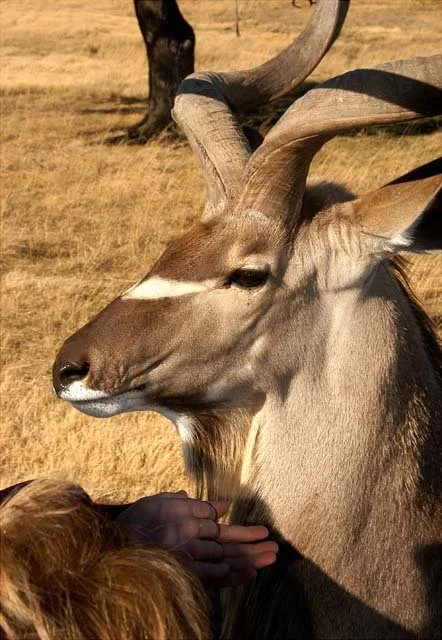 2003 Fossil Rim-114.JPG