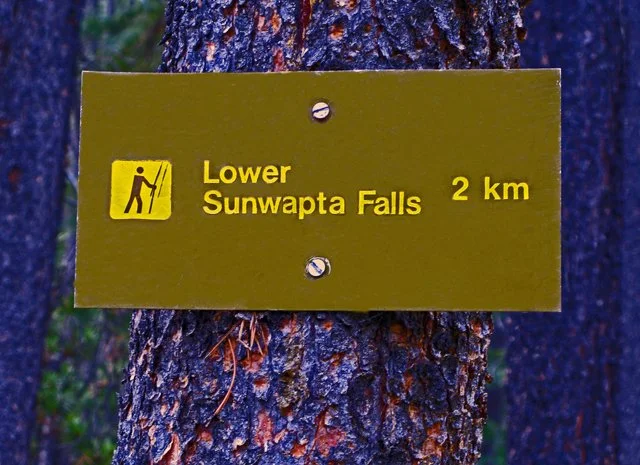 Sunwapta-073.jpg