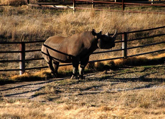 2003 Fossil Rim-028.JPG