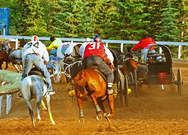 WagonRace-049.jpg