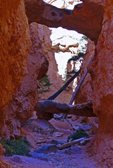 Bryce Canyon-190