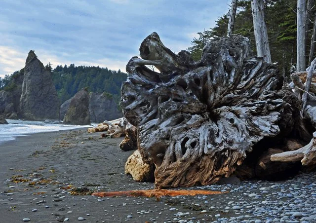 Rialto Beach-040