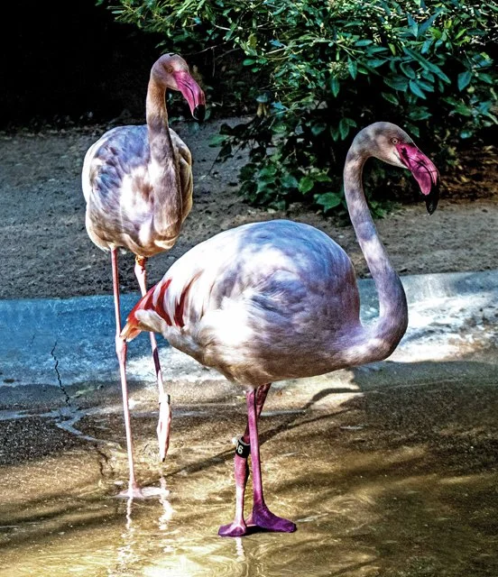 FW Zoo-155.jpg