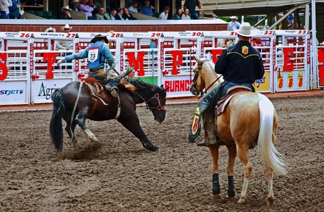 Rodeo-086.jpg