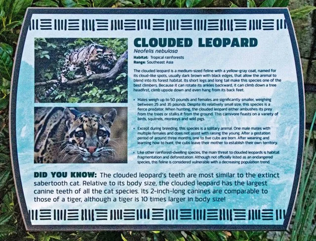 FW Zoo-038.jpg