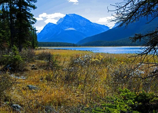 2012 Icefield Pkwy-100